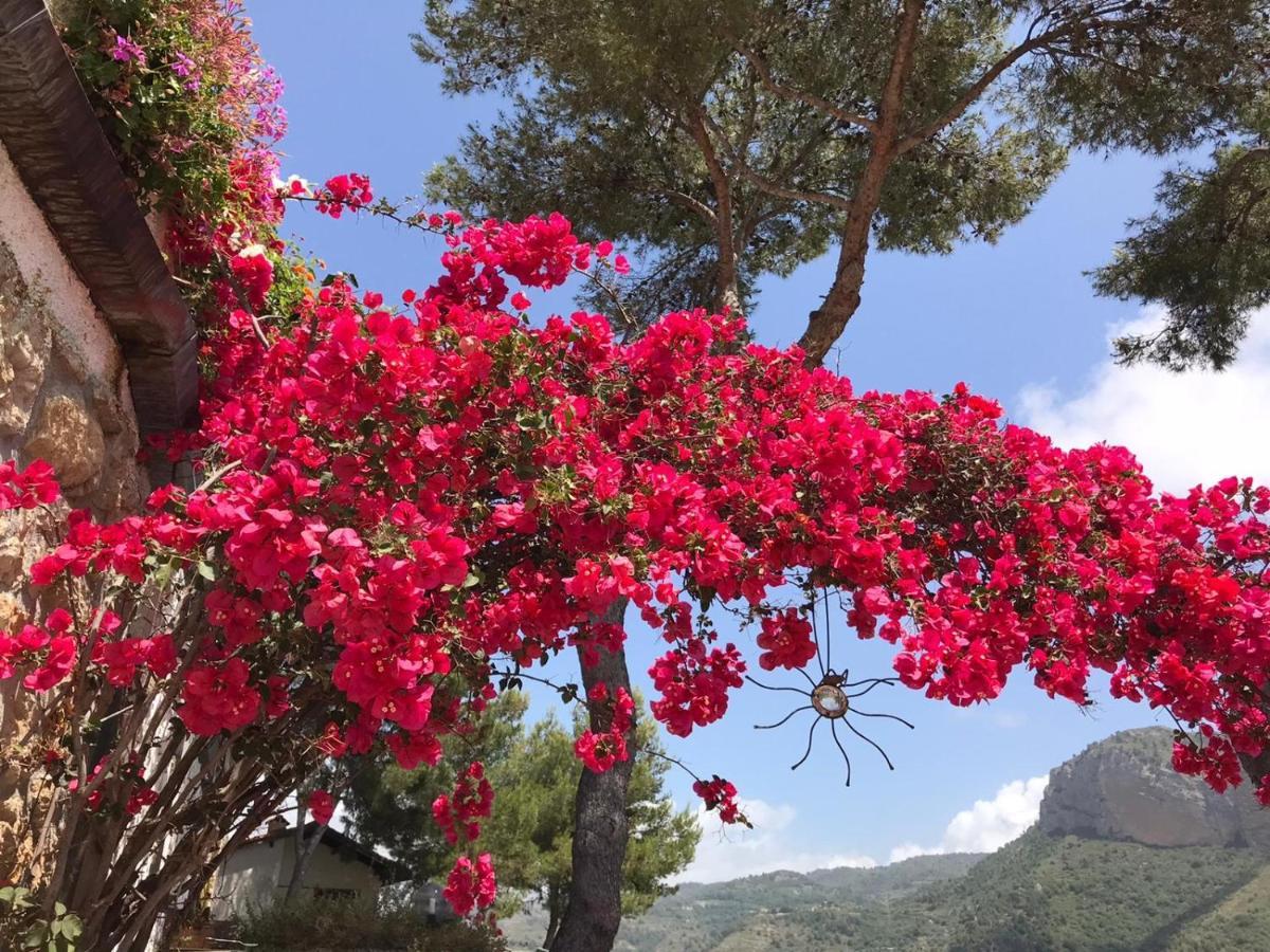 Villaggio Turistico Da Tonino Seglia San Bernardo Exteriör bild